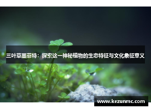 三叶草墨菲特:探索这一神秘植物的生态特征与文化象征意义 三叶草墨菲特:探索这一神秘植物的生态特征与文化象征意义