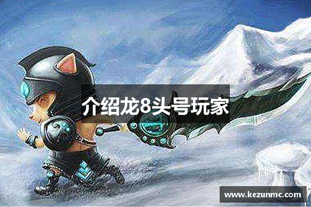 介绍龙8头号玩家